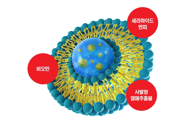 닥터포헤어 폴리젠샴푸
