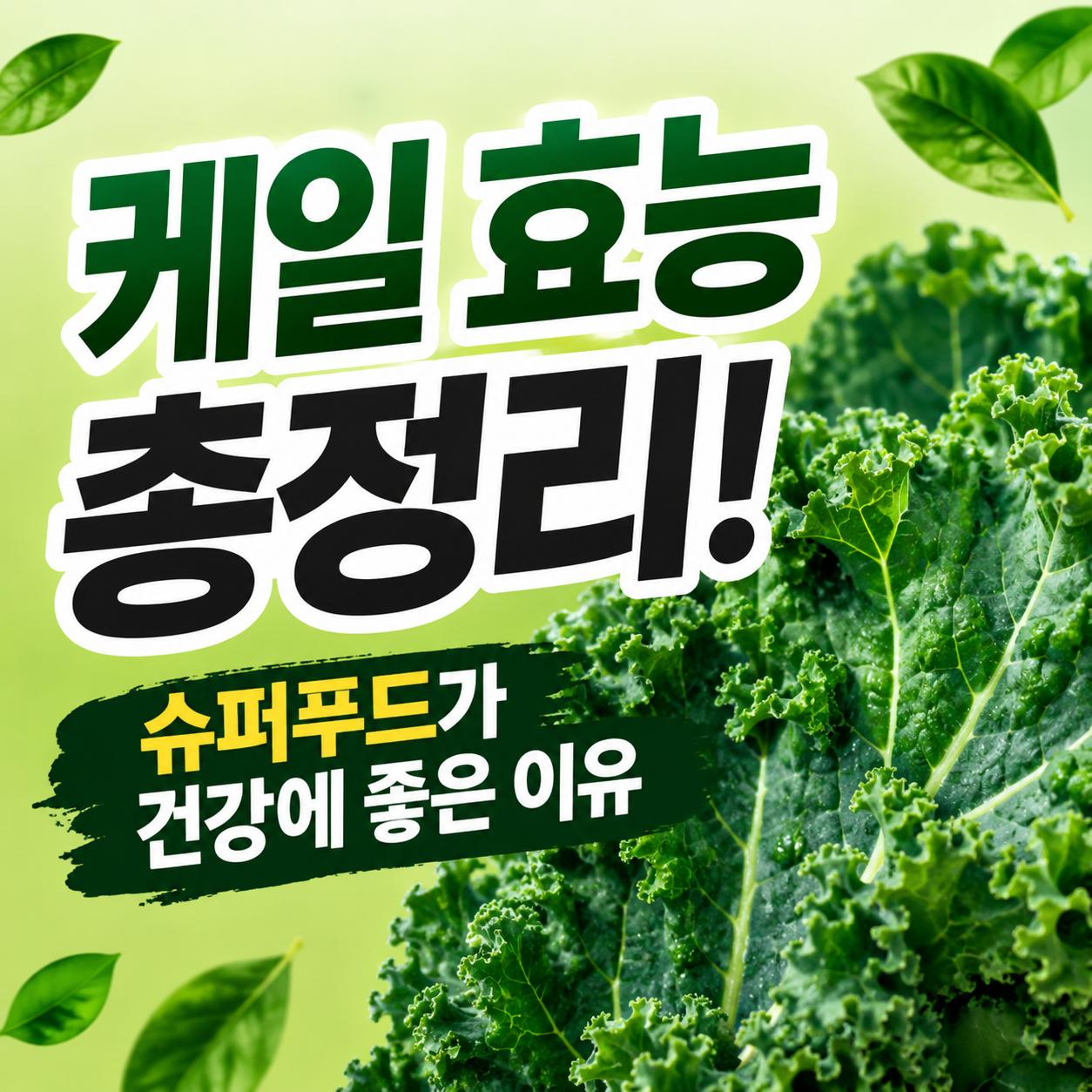 케일 효능