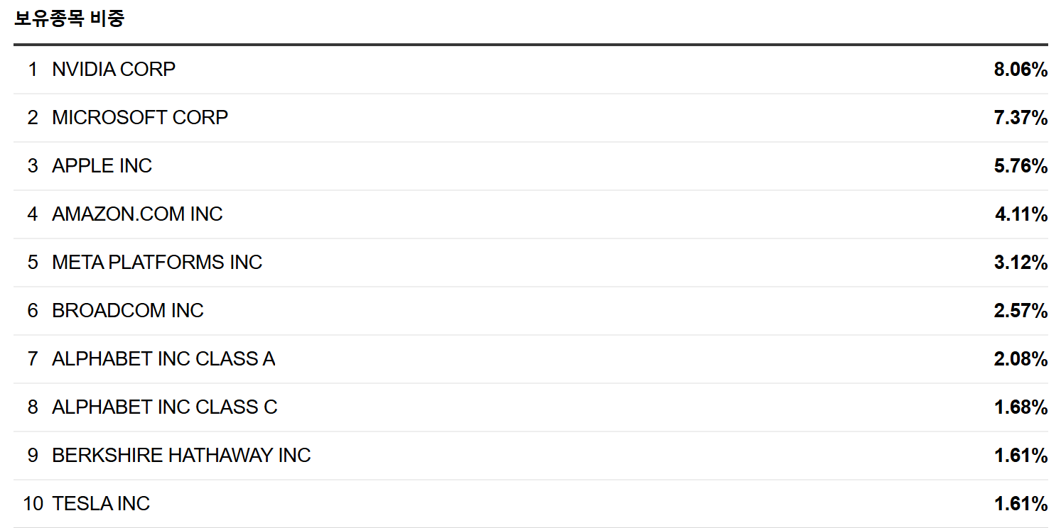 SPLG 포트폴리오 TOP 10