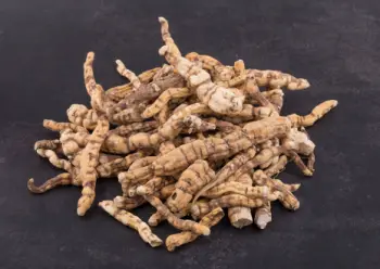 백수오 효능 및 영양성분&amp;#44; 주의점