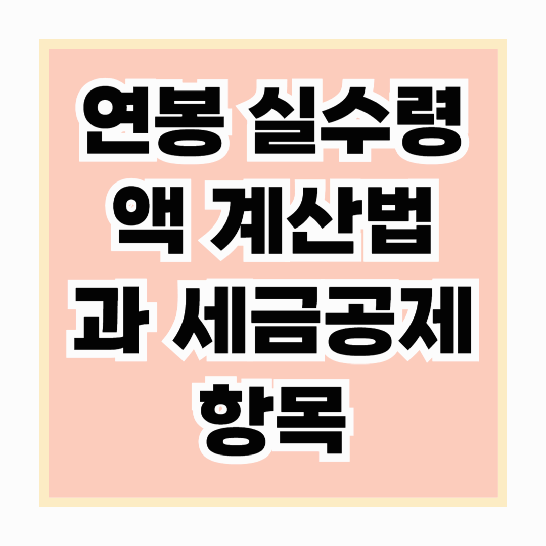 2025년 연봉 실수령액 계산법과 세금 공제 항목 총정리