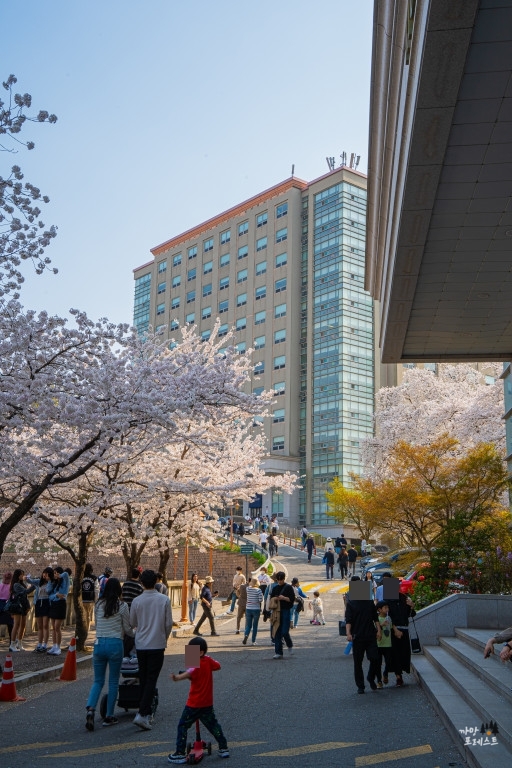 경희대 국제 캠퍼스 나들이