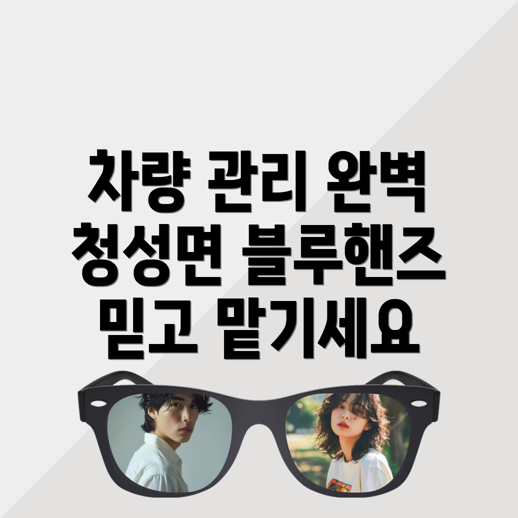 블루핸즈