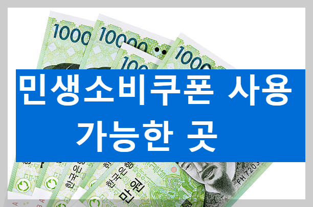 2025년 소비지원금 사용처 및 사용 불가처 정리