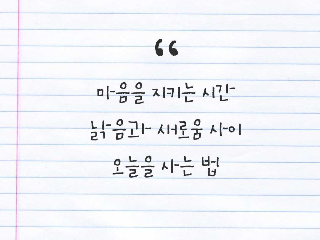 2026년 2월 9일 피어나네 감사노트|일상을 행복으로 바꾸는 기록 하루 3줄 감사일기