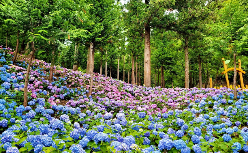 특색있고 아름다운 민간 정원 30선 추천 여행 - 21. 보성 성림정원