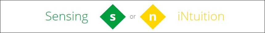 sensing / intuition
