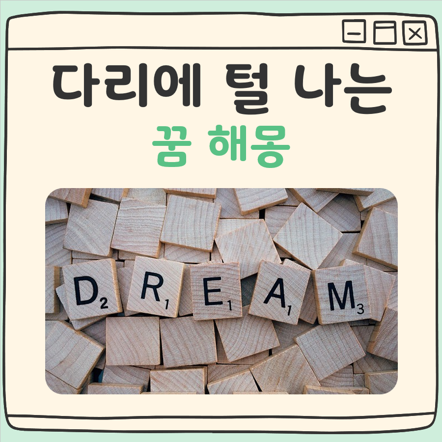 다리에 털나는 꿈 해몽