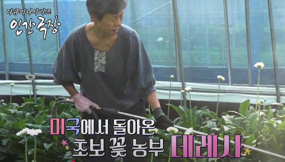 정데레사-꽃농장