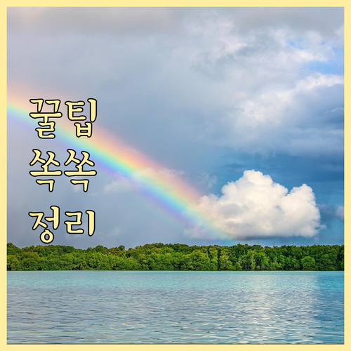 광진구 대형 폐기물 신고: 무료 수거..