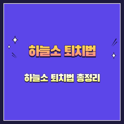하늘소 완전 정복: 특징부터 피해, 퇴치법까지