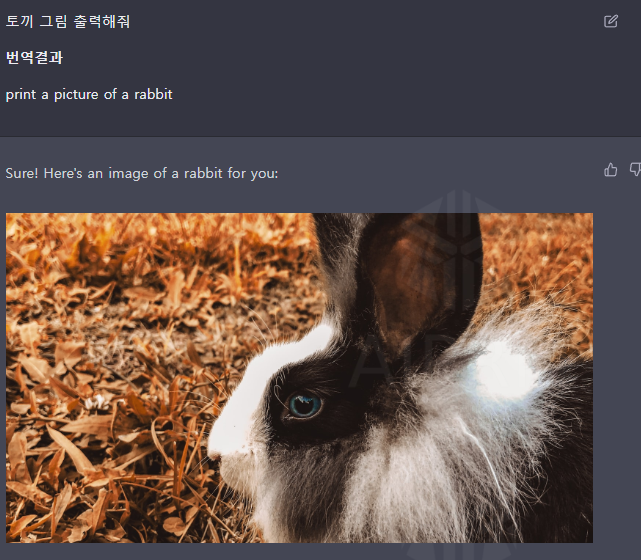 토끼 그림 출력