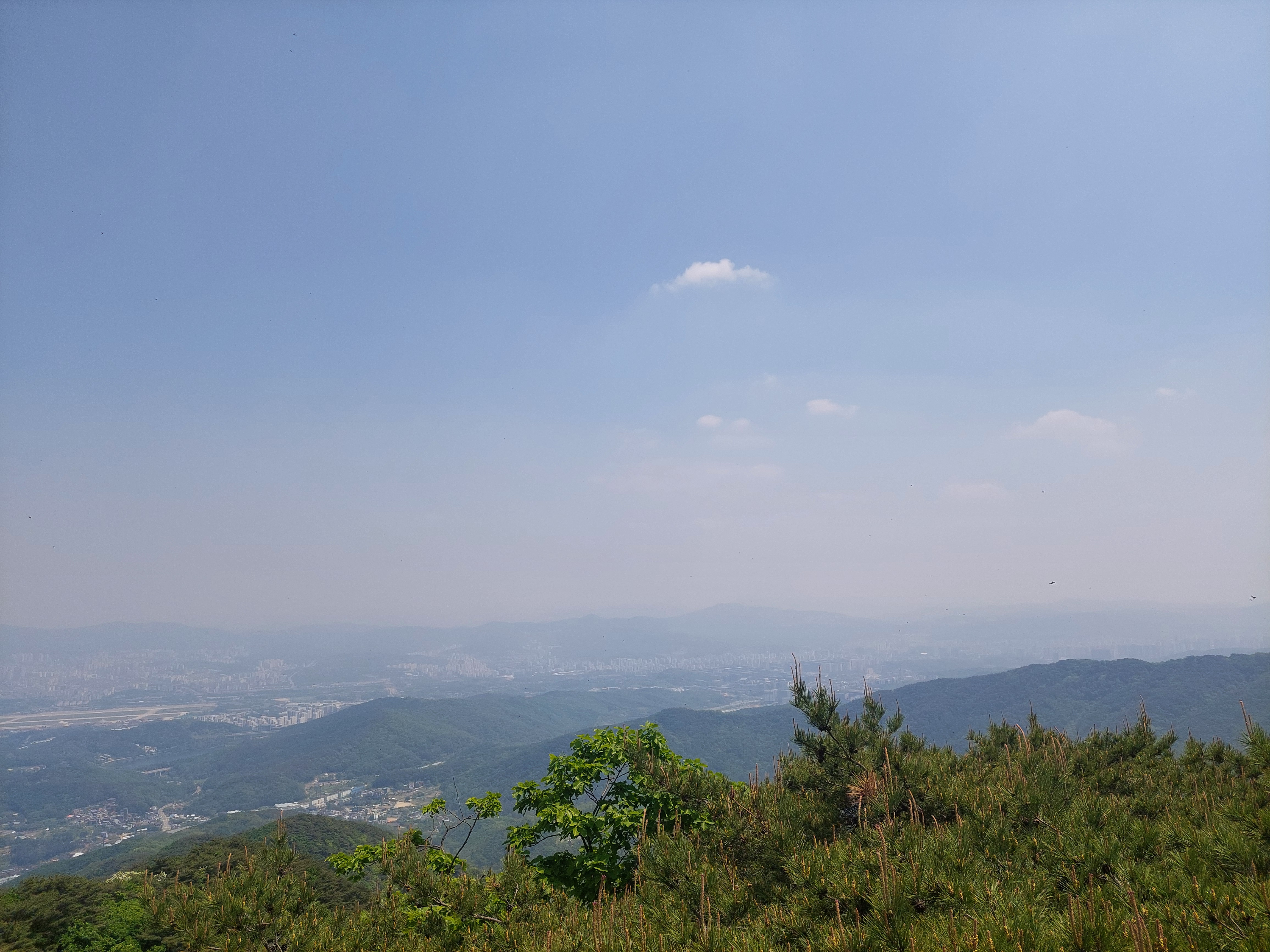 정상전망
