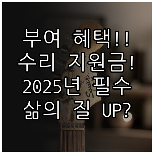 삶의 질 향상 2025 부여군 행복드..