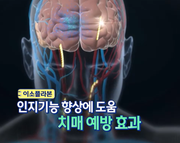 대마종자유 효능
