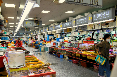 평창 힐링 여행