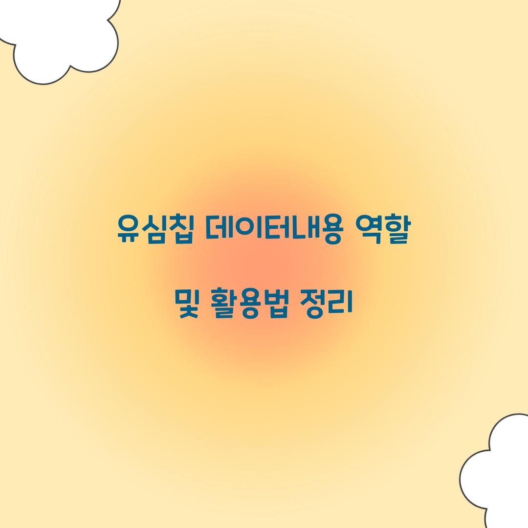 유심칩 데이터내용 역할