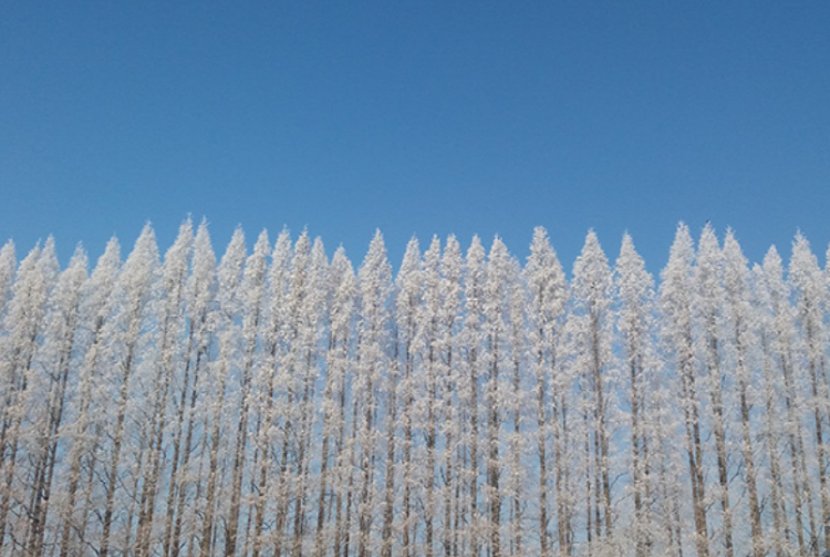익산 아가페정원