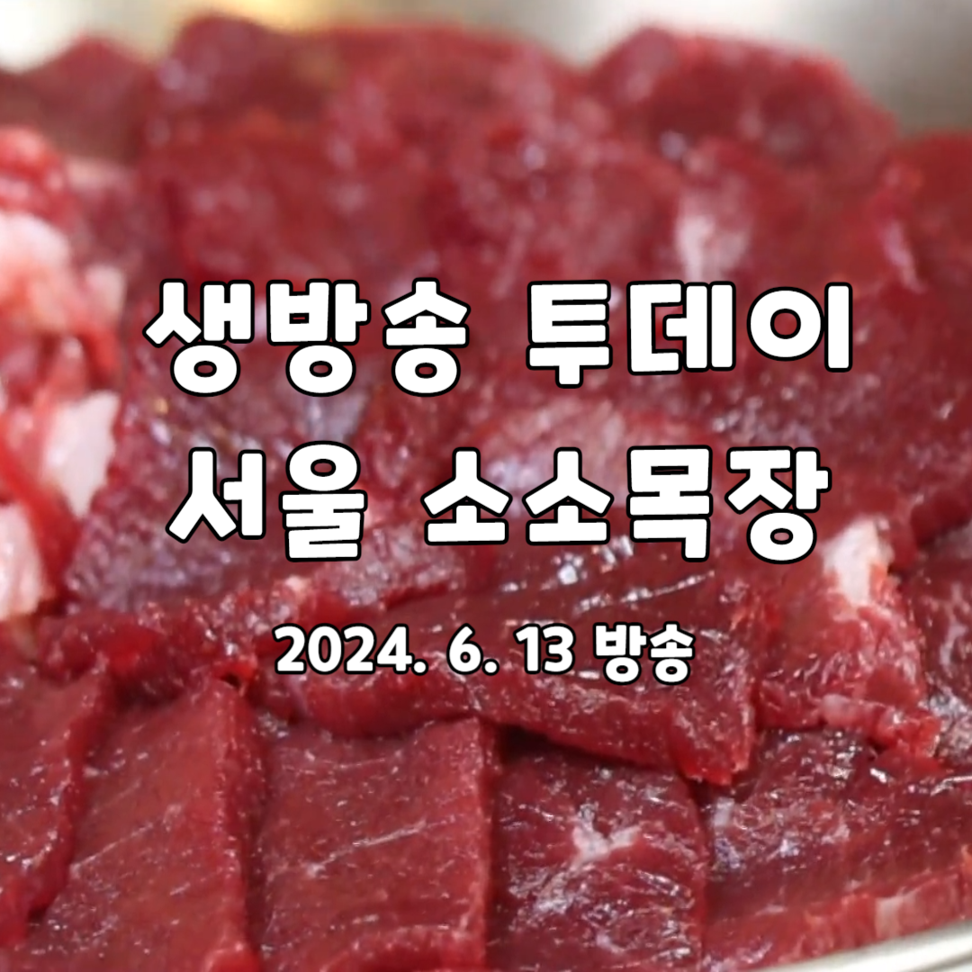 생방송 투데이 맛의 승부사 최상급 1++한우 소소목장