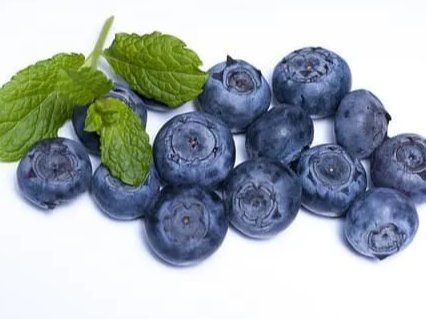 기억력에 좋은 블루베리