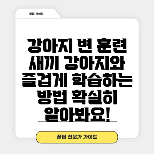 강아지 변 훈련 새끼 강아지와 즐겁게 학습하는 방법 확실히 알아봐요!