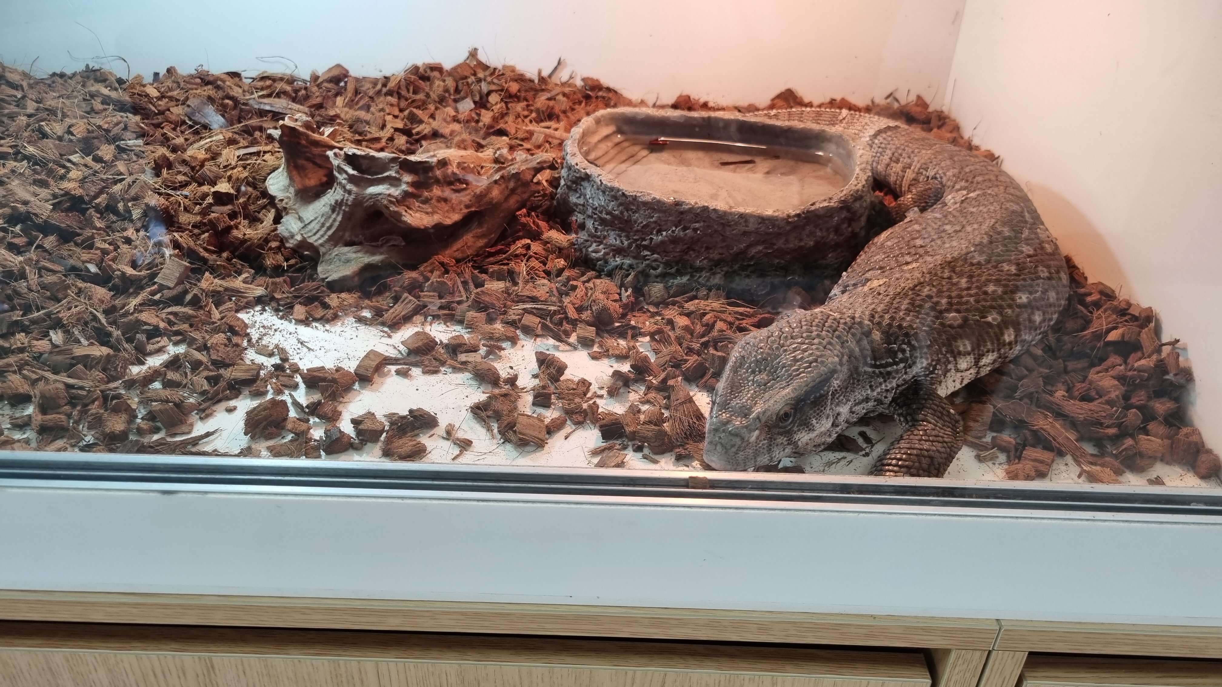 양주곤충박물관 애니멀 파크-사진