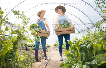 농식품 바우처 신청
