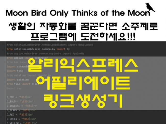 알리익스프레스 부업