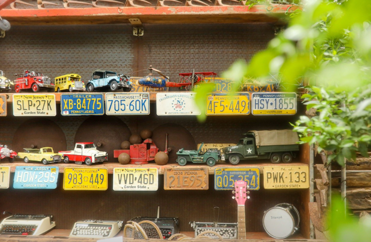 6시내고향 한라봉 제주 서귀포시 쇠소깍산물관광농원