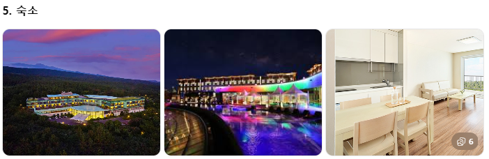 제주 쏠라티&middot;카니발 투어 비교! 기사 포함 제주 승합차투어 요금&middot;코스&middot;후기 총정리