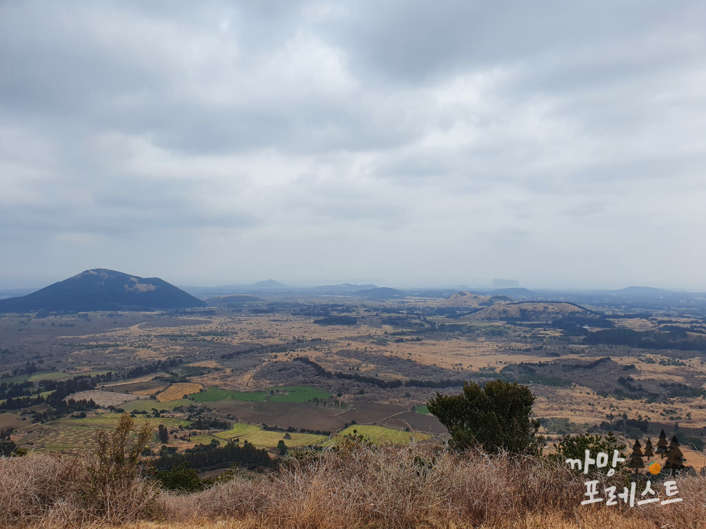높은 오름 정상풍경