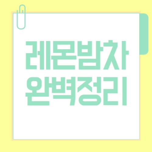 레몬밤차 효능·부작용·카페인|맛있게 마시는 법까지 정리