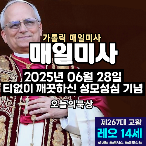 2025년 6월 28일 매일미사 티없이 깨끗하신 성모성심 기념 오늘의 묵상