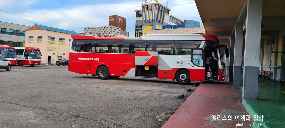 부산 - 경주 시외버스, 고속버스 차이, 터미널 위치