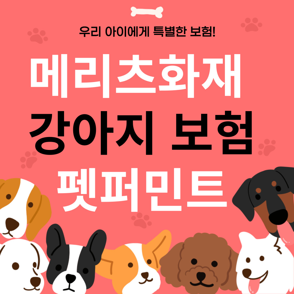 강아지 실손보험 펫퍼민트