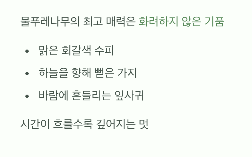 단아한 선비 같은 매력