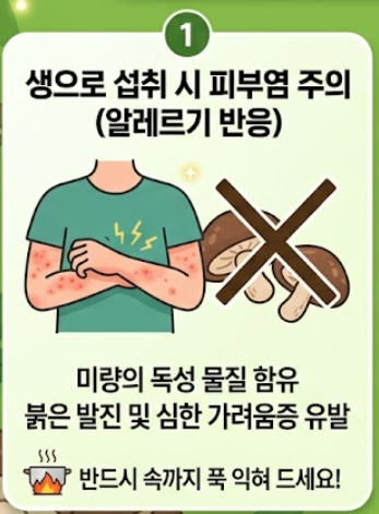 표고버섯 효능