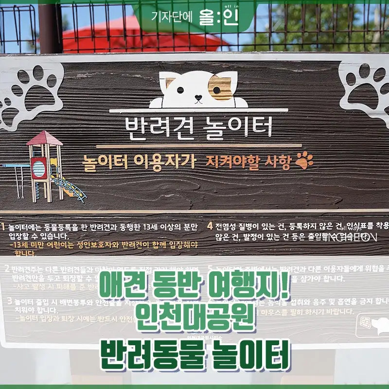 서울·인천·부천 반려동물 놀이터 추천 & 이용 꿀팁