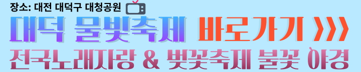 대전시 대덕구 물빛축제 전국노래자랑 행사와 야간 불꽃축제