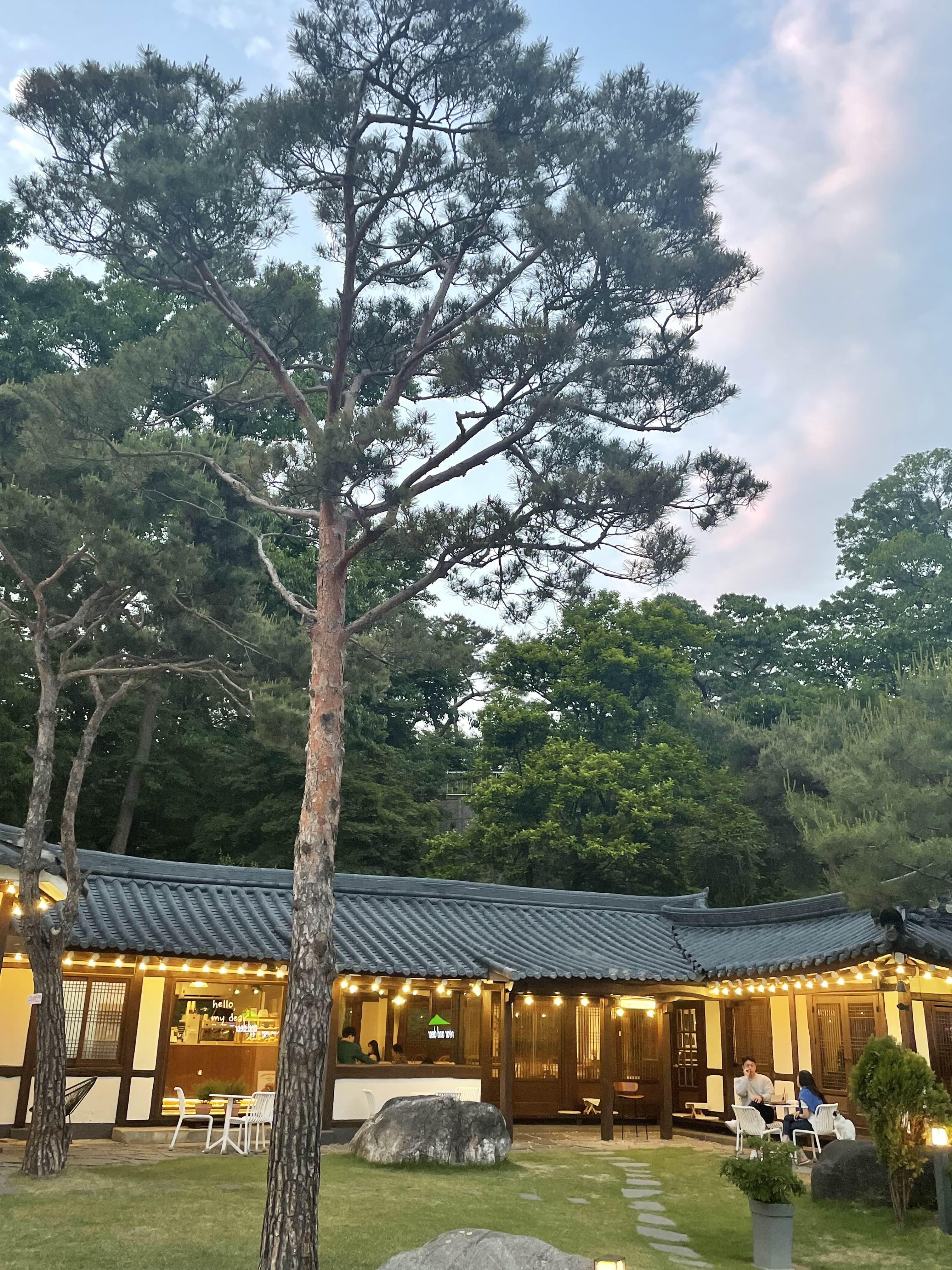 경기 광주 식당 사진