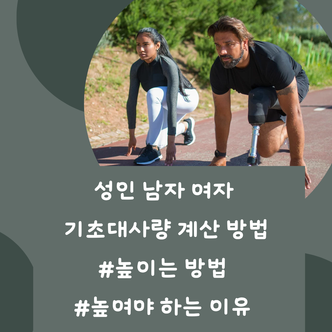 성인 남자 여자 기초대사량 계산하는 방법과 높이는 방법 높여야 하는 이유 알아보기