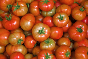 고지혈증에 좋은 음식07