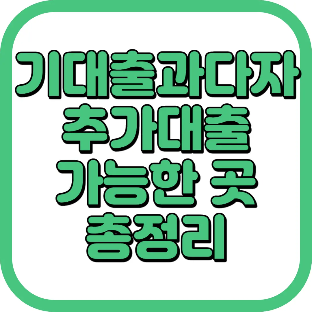 기대출과다자 추가대출