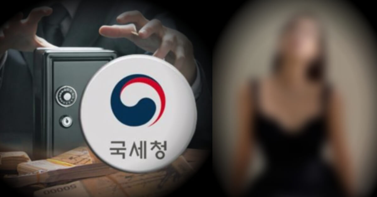 국세청 의상비