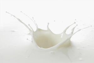 시린 이에 좋은 음식10