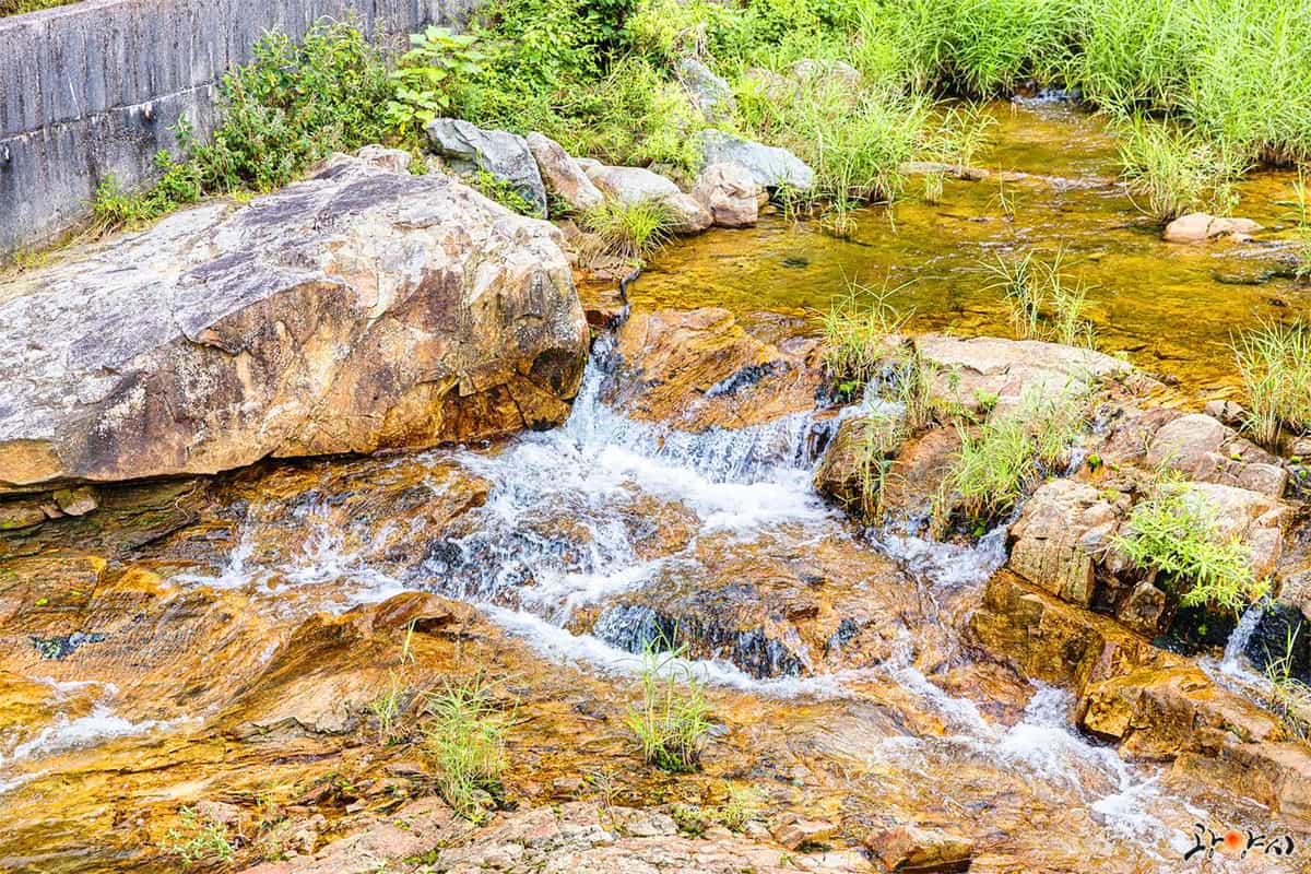 전남 광양 백운산 둘레길