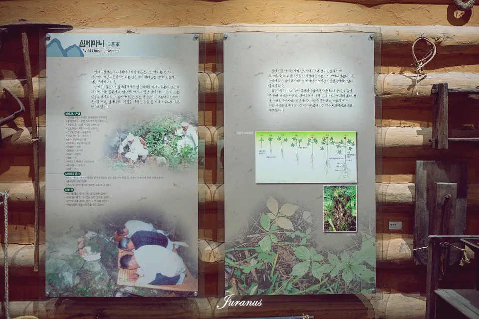 인제산촌민속박물관_14