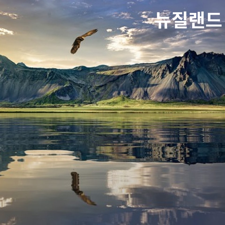 4050해외여행지추천