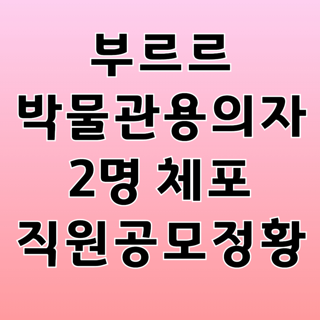루브르 박물관 용의자