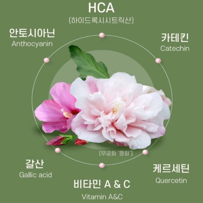 무궁핏 부작용 효능 후기 복용법 가격 다이어트 효과